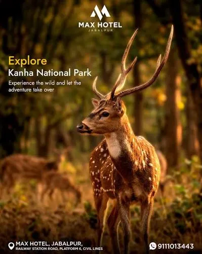 Jabalpur to Kanha Wildlife Tour